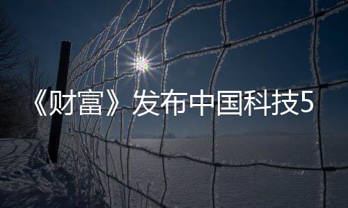 华为科技中国强缺席选 小米k入财富发布