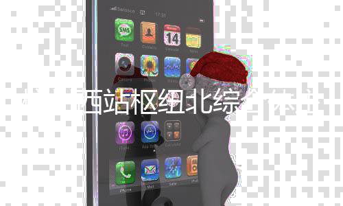 北综杭州合体主体西站枢纽结构封顶